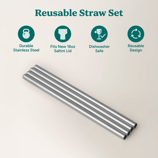 saltini-straw-set-k4 4PK_SaltiniStraws_SS-2.jpg