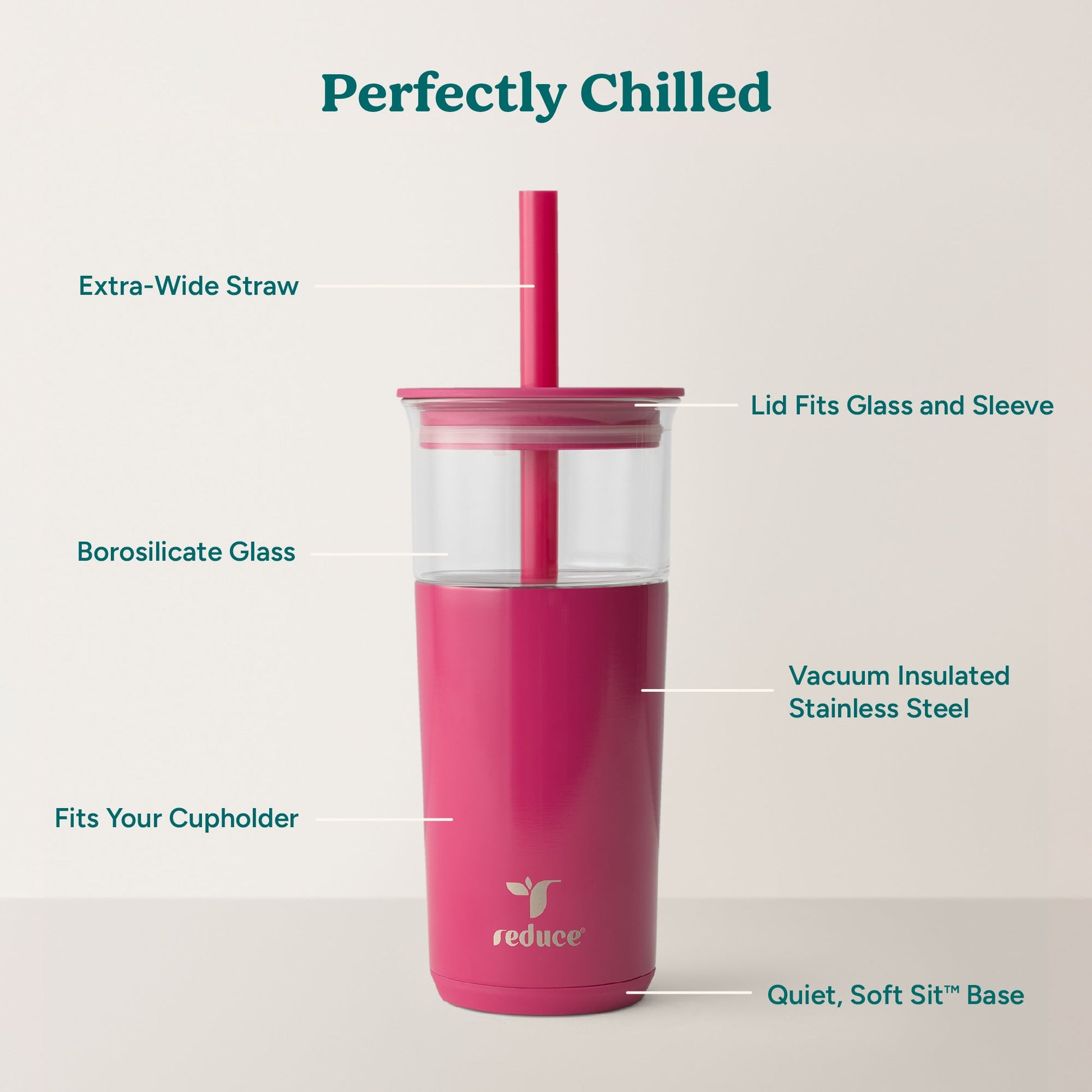 aspen-20-oz-c2 Aspen_Dragonfruit_PDP_Infographic2.jpg