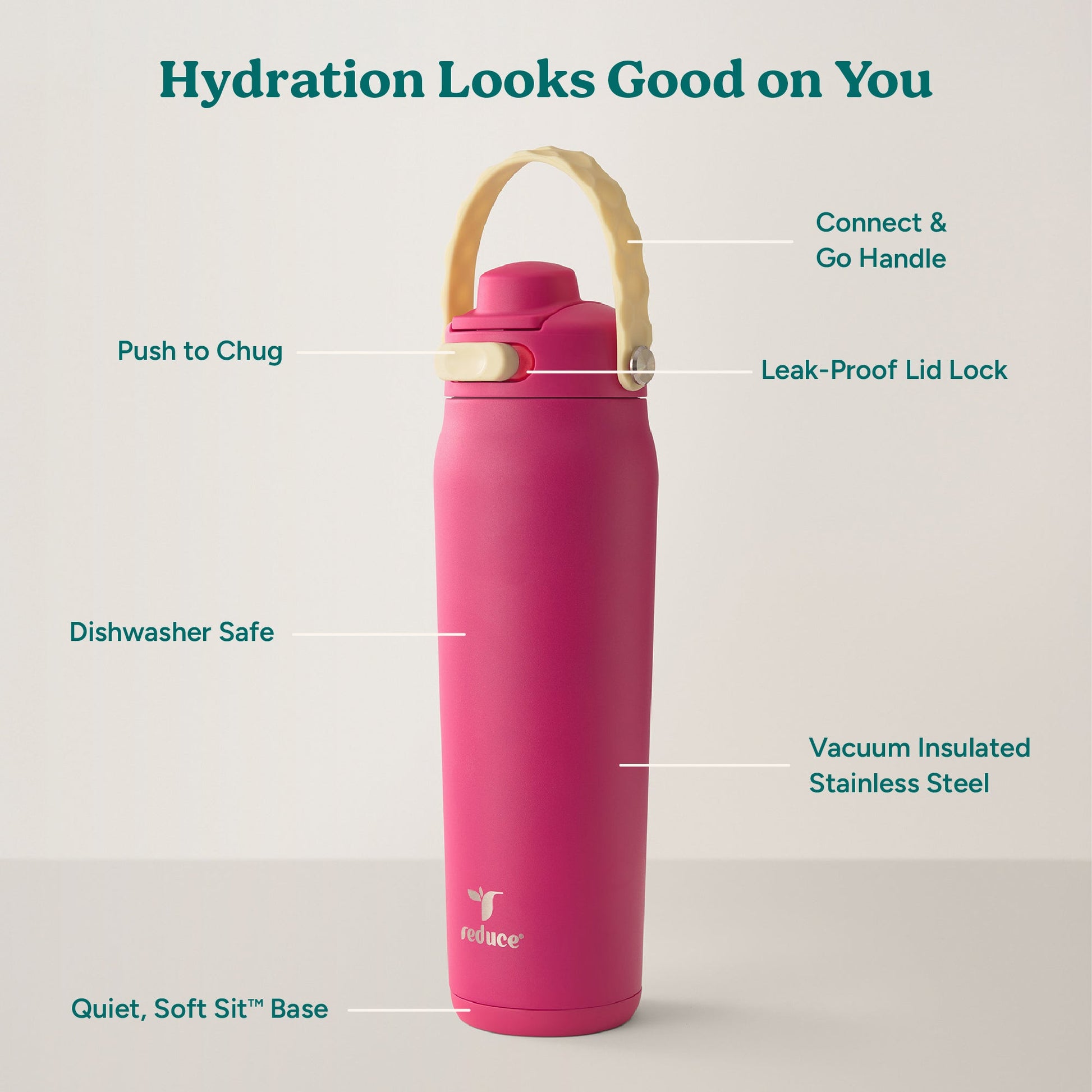 aura-26-oz-u5 Aura_26oz_DragonFruit_PDP_Infographic_2-03.jpg