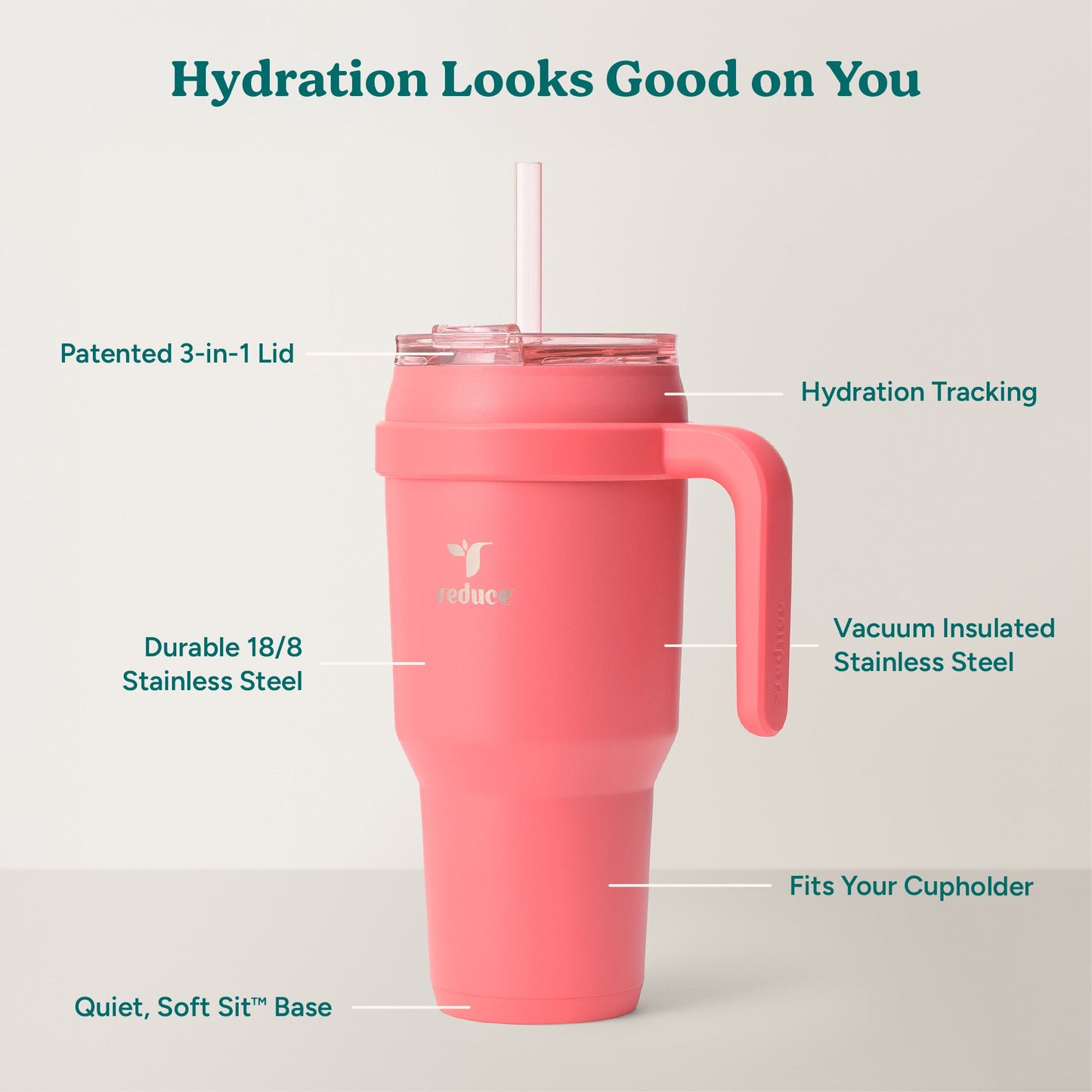 cold1-40-oz-a6 Cold1_40oz_Daiquiri_Infographic_2.jpg