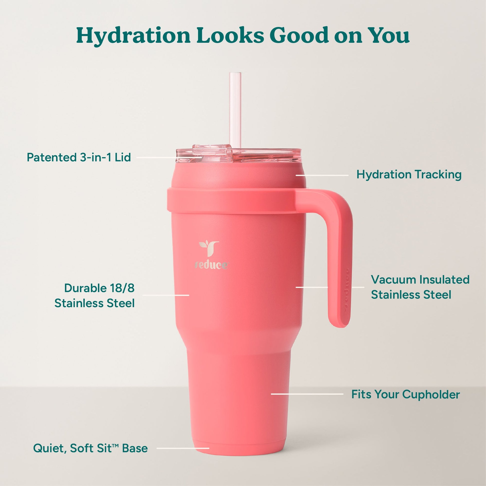 cold1-40-oz-a6 Cold1_40oz_Daiquiri_Infographic_2.jpg