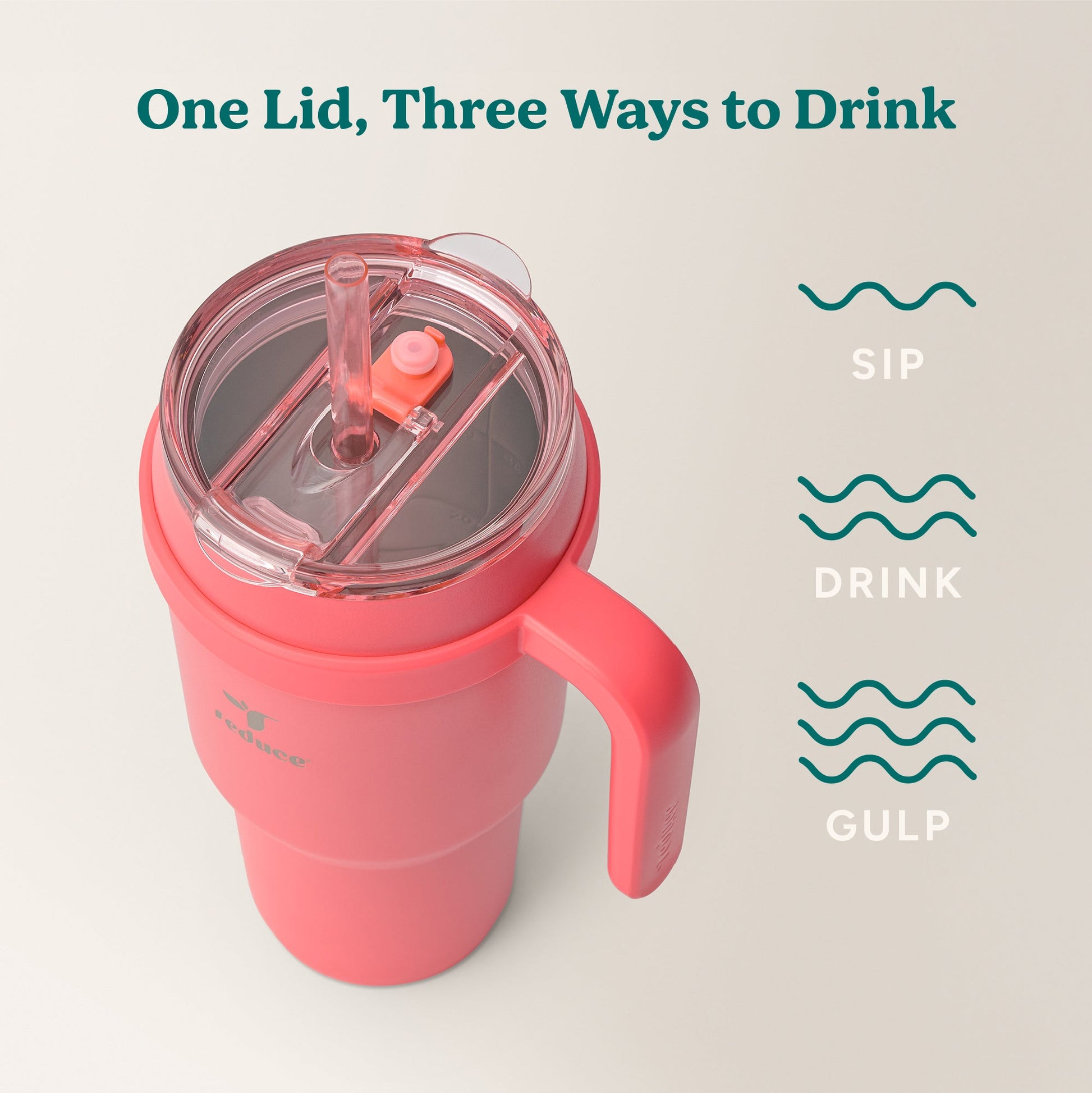 cold1-40-oz-a6 Cold1_40oz_Daiquiri_Infographic_3.jpg