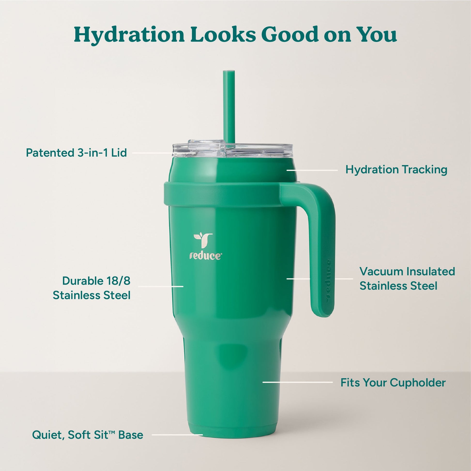 cold1-40-oz-a6 Cold1_40oz_PalmLeaf_Infographic_2.jpg