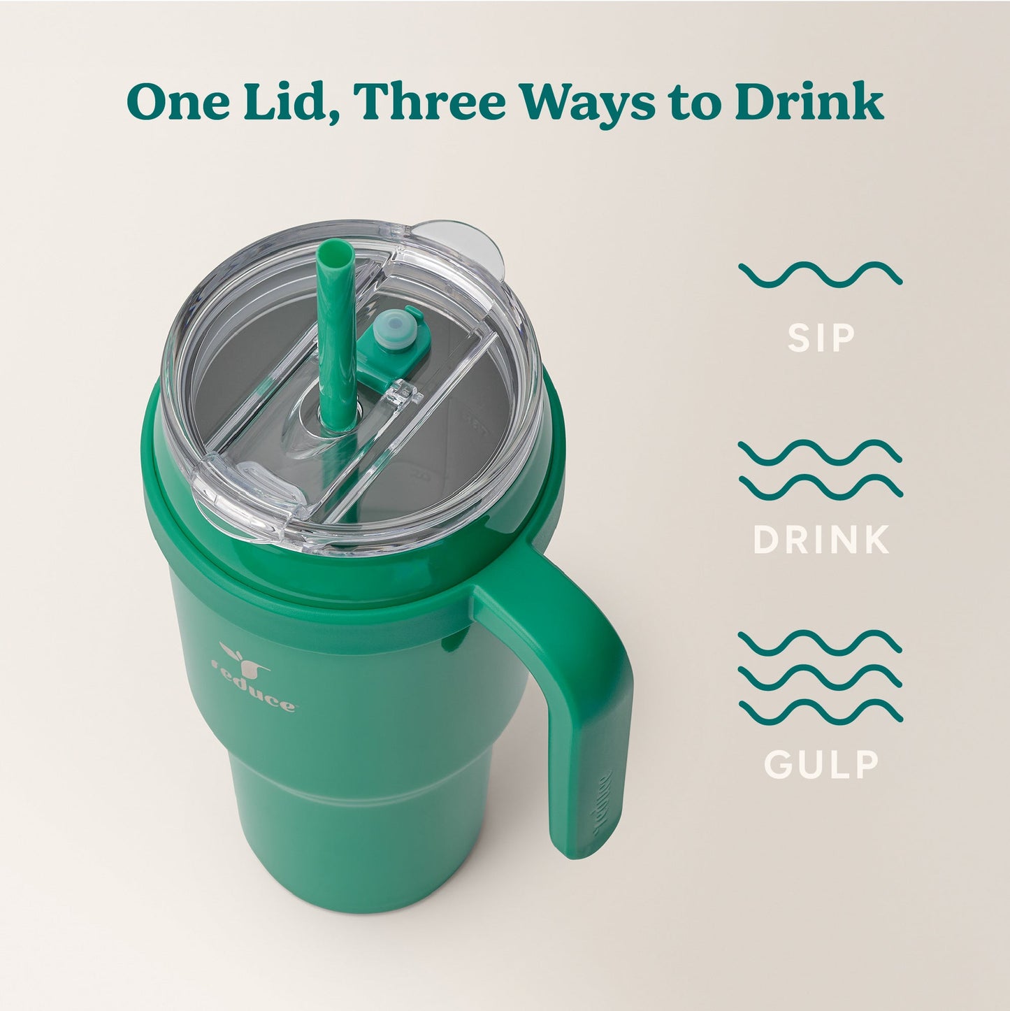 cold1-40-oz-a6 Cold1_40oz_PalmLeaf_Infographic_3.jpg