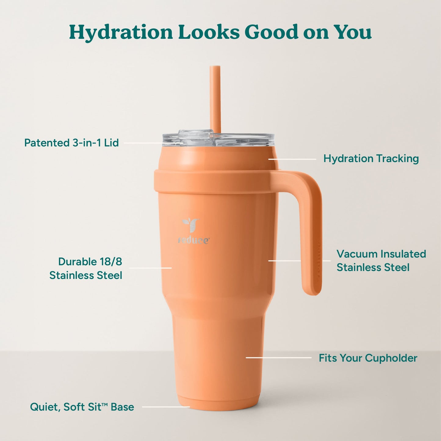 cold1-40-oz-a6 Cold1_40oz_Papaya_Infographic_2.jpg