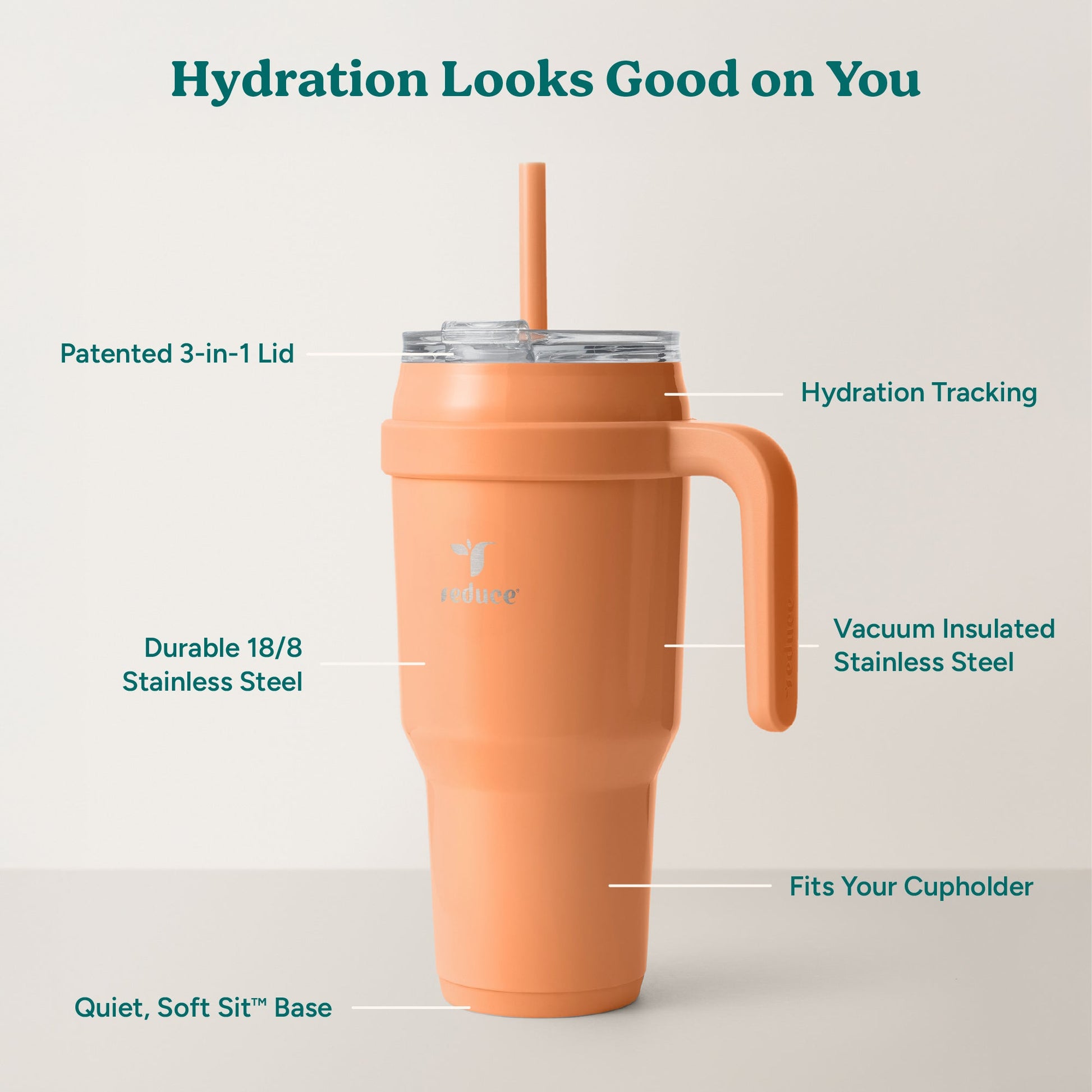 cold1-40-oz-a6 Cold1_40oz_Papaya_Infographic_2.jpg