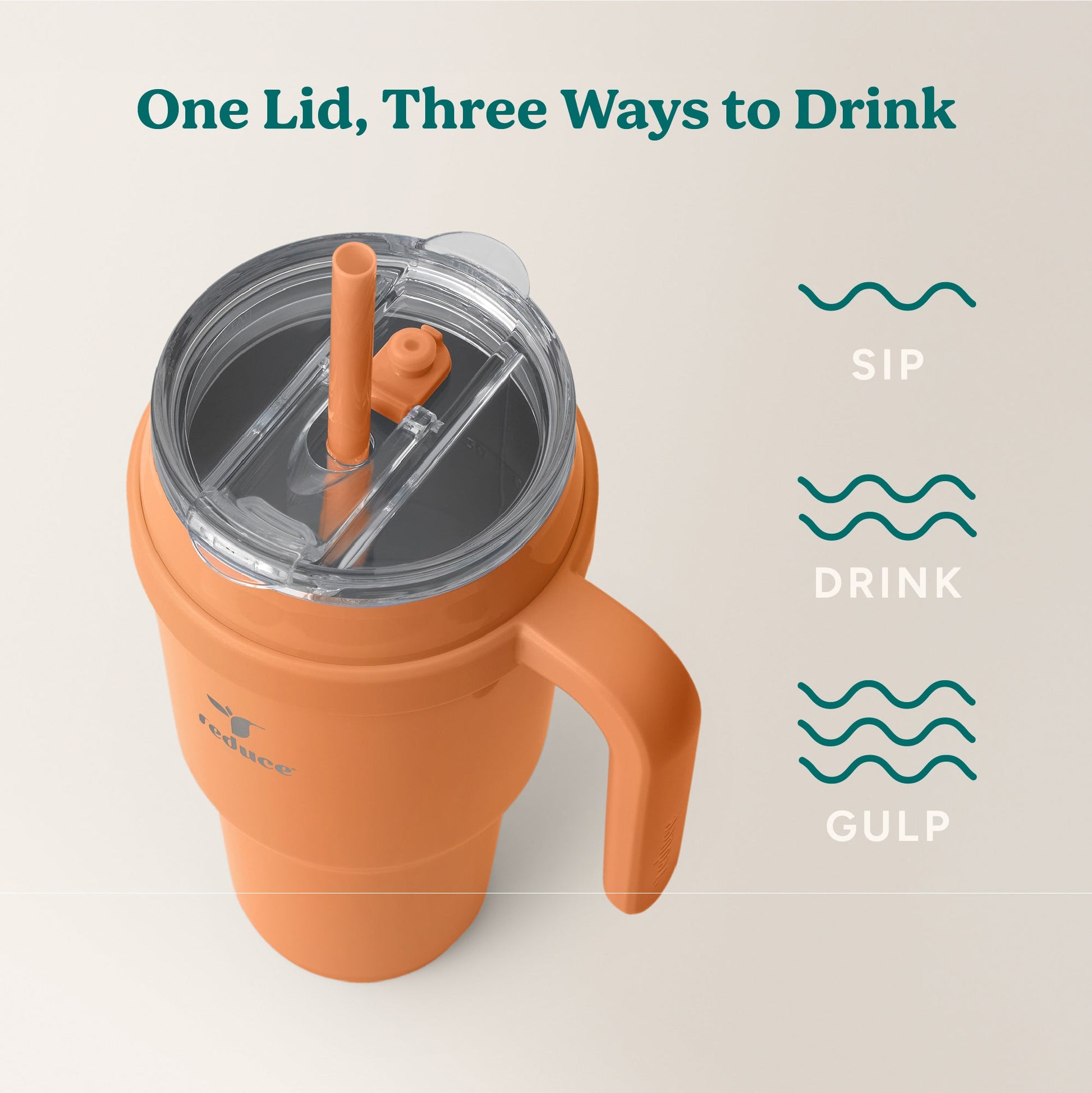 cold1-40-oz-a6 Cold1_40oz_Papaya_Infographic_3.jpg
