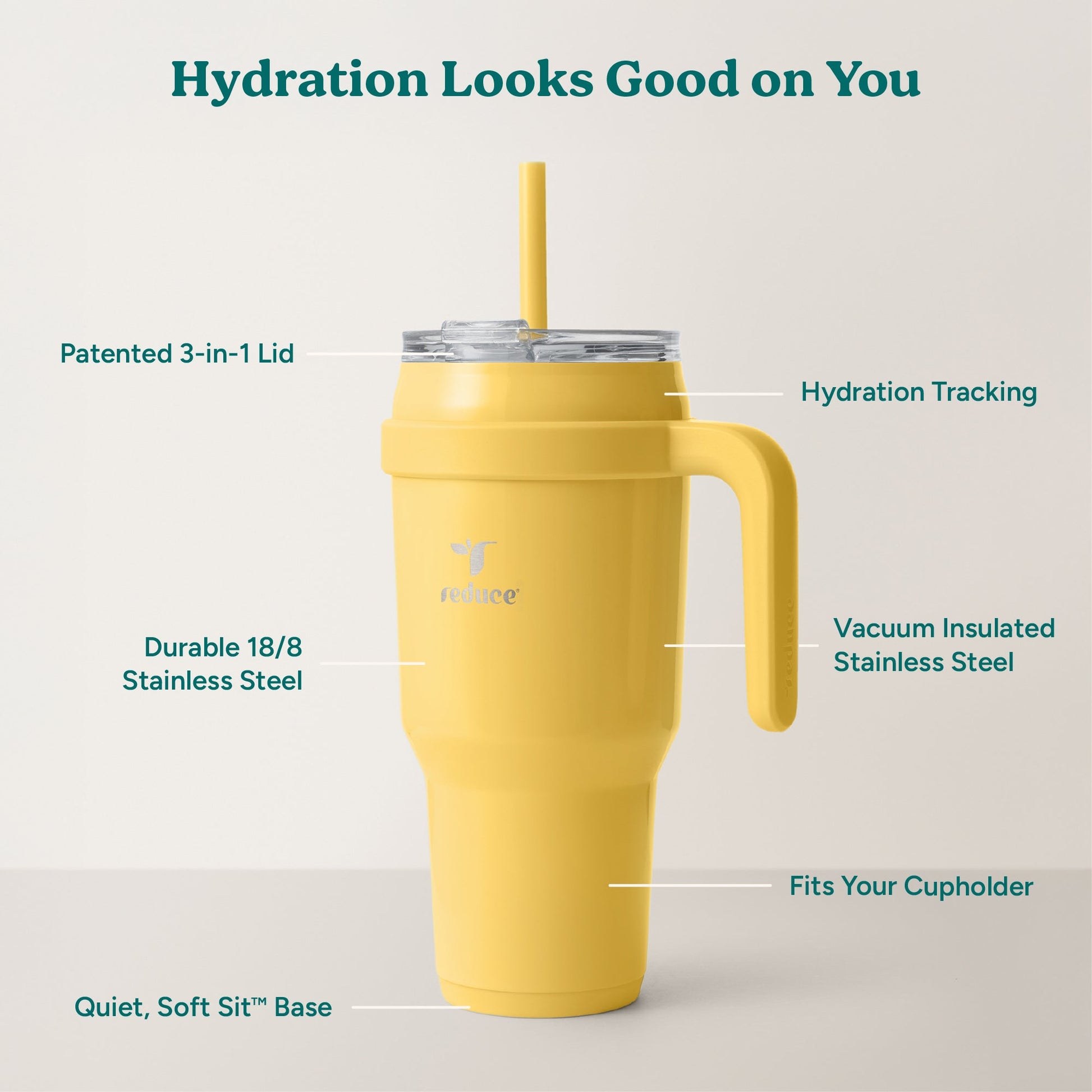 cold1-40-oz-a6 Cold1_40oz_Pineapple_Infographic_2.jpg
