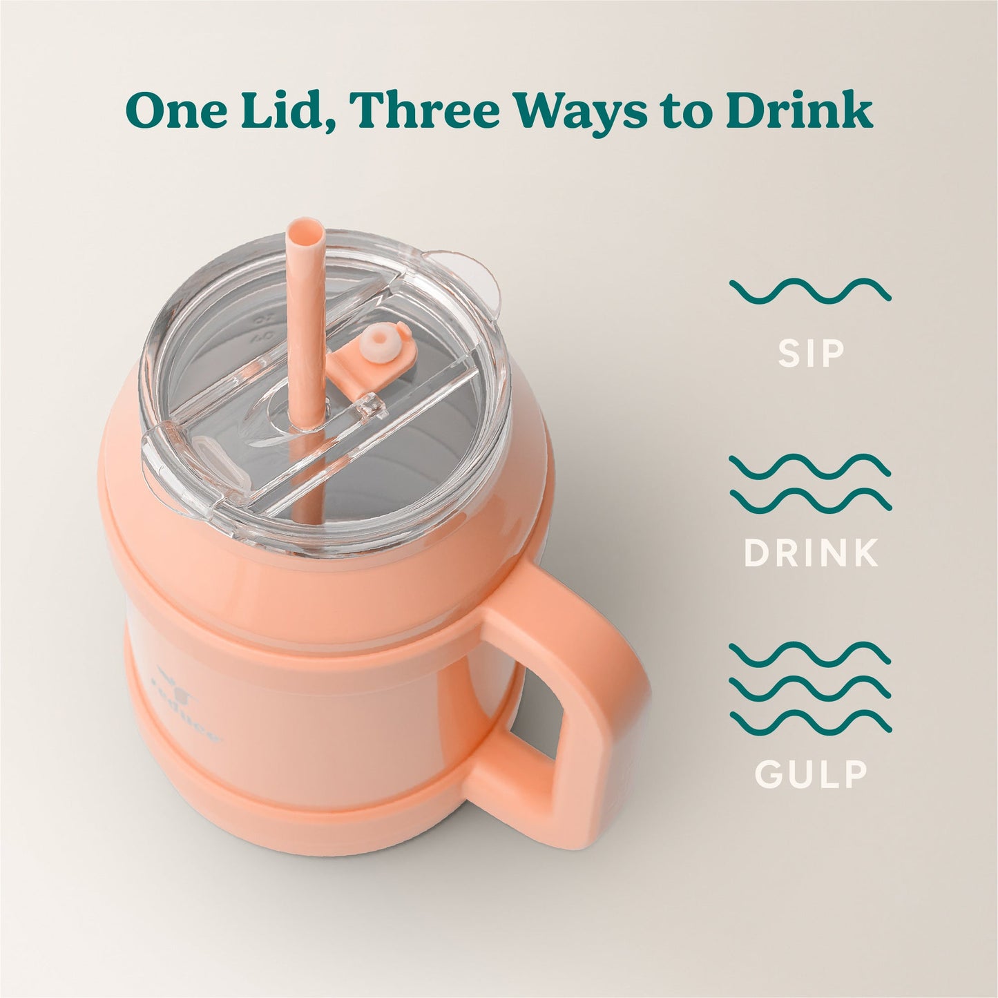 cold1-desktop-50-oz-z9 Cold1_50oz_Desktop_Sedona_Infographic_3.jpg